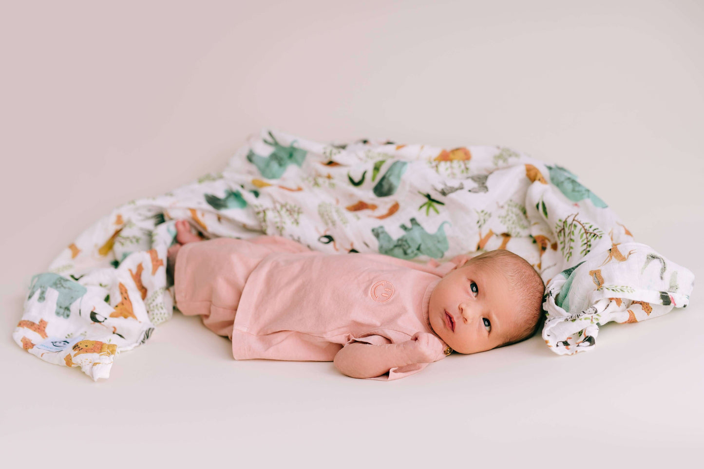 Animals swaddle