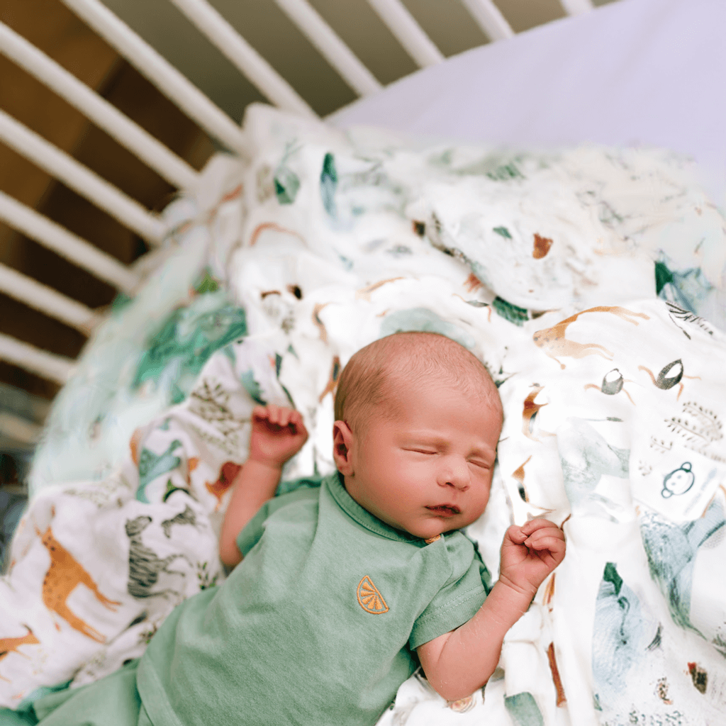 Animals swaddle