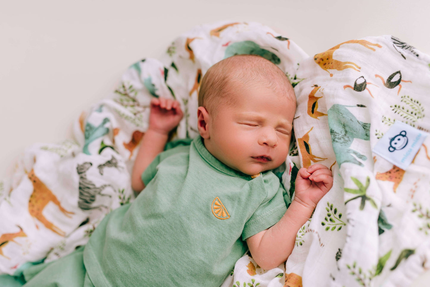 Animals swaddle